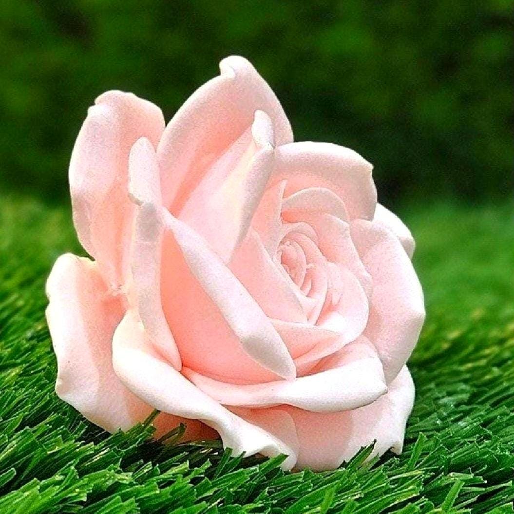 Flower Soap Gift Box 12 Handmade Rose Scented Soap Flowers Elegant Gift for Mom, Birthday, Mother’s Day, Bridal Shower, or Special Occasions